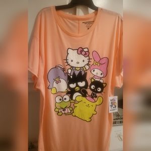 Hello Kitty and friends